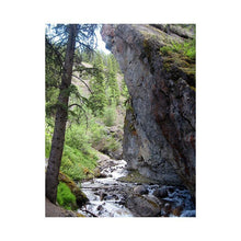 Sundance Canyon *5lb bag* - Medium, Rainforest - Banff Roasting Company Ltd.