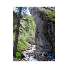 Sundance Canyon *1lb bag* - Medium, Rainforest - Banff Roasting Company Ltd.